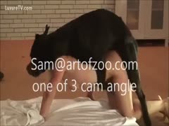 Big black dog fucking latin girl a beastiality sex she loving from behind